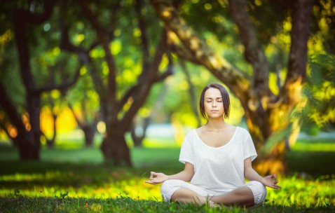 世界杯app下载-莱万擎旗，波兰铁骑绝唱；仙人掌军团，主场荆棘征途